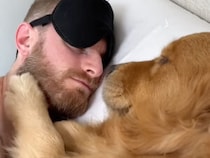 起きてほしくて優しくペシペシ、朝になると必ず隣にいる犬さんが愛おしい♡