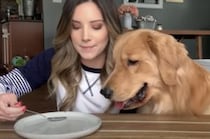 目には見えない食べ物？ 愛犬の前で透明なゴハンを食べるふりをしてみたら…