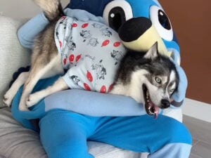 ずっと推しだったキャラが会いにきてくれた! 喜びが爆発する犬さんの反応が可愛い