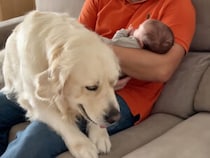 自分も赤ちゃん扱いしてほしい！ 甘えん坊な犬さんの可愛い主張