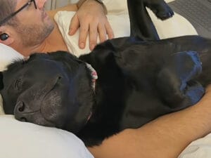 夫と愛犬がラブラブすぎて… 子犬の頃から変わらない甘えん坊さん
