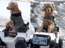 雪道は足が冷えちゃうもんね！ ジープに乗っておでかけする犬さん