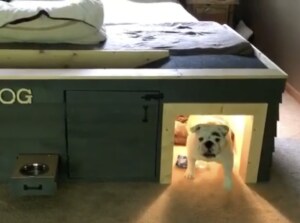 おしゃれでカッコイイ！愛犬のための、特別仕様の犬小屋。