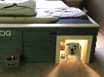 おしゃれでカッコイイ！愛犬のための、特別仕様の犬小屋。