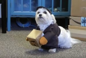 配達員のお兄さんにサプライズ！ ワンちゃんの可愛いおもてなし。