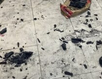 大惨事！ 愛犬のイタズラで床一面が真っ黒に！