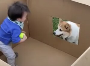 秘密基地ってワクワクするよね! 愛犬とふたりだけの…