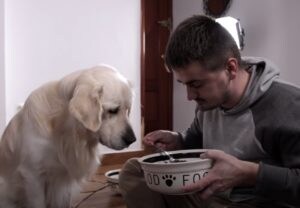 犬「え?それ食うんか?」愛犬のエサを食べるフリをしてみたら…