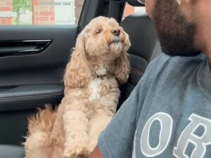 「それどういう意味?」言葉はわからなくてもにニコニコ答える犬さん