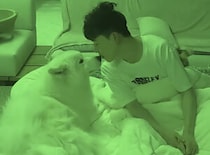 犬と猫と一緒に眠ってみたら… 賑やかすぎて大変(笑)