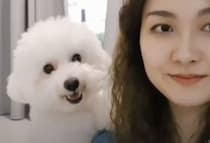 「あっ、撮影するの？いま行く！」カメラを構えると走ってくるワンコ