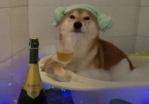 週末の夜を楽しむワン♡ お風呂でリラックスする柴犬