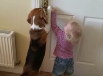 「困ったことに、ドアが開かない！」そこに犬がやってきて…