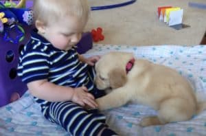 ずーっと追いかけてくる! 積極的な子犬に困惑する赤ちゃん