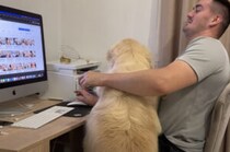 愛犬が職場のボスだったら…？ 大変だけど絶対楽しい♡