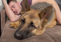 「ご主人うるさーい！」愛犬の前でイビキをかいてみたら…