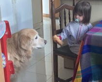 仲良しな犬と赤ちゃん、パンも一緒に半分こ…？