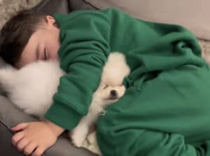 むぎゅっと抱き合って愛犬のベッドで一緒に♡ 仲良く眠る犬と子ども