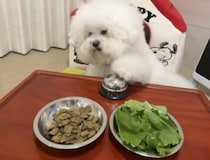 犬「おやつ食べたい。野菜はいりません！」 好き嫌いが分かりやすい 笑