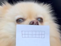 もし犬さんの口元が変わったら？ 手描きイラストで実験してみた