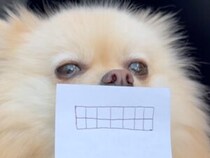 もし犬さんの口元が変わったら？ 手描きイラストで実験してみた