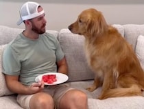 もしも飼い主が食事中に居眠りをしたら→犬さんの行動が試される！