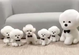 本物はどーれだ！可愛いもこもこ犬、分身の術♡