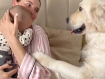 「ボクのことも忘れないで？」ママに甘える赤ちゃんの隣で、そっと前足を乗せる犬さんにほっこり