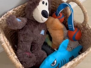 玄関になぜか置いてある犬さんたちの「おもちゃ箱」。 ここじゃなきゃダメな理由が可愛すぎる！