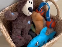 玄関になぜか置いてある犬さんたちの「おもちゃ箱」。 ここじゃなきゃダメな理由が可愛すぎる！