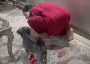 「ここにいるよ!」 愛犬のことを見えないフリしてみたら…