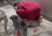 「ここにいるよ！」 愛犬のことを見えないフリしてみたら…