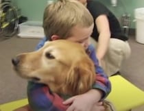 脳挫傷で動けなくなった少年、癒してくれたのは1匹の犬でした。