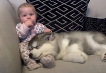 一緒にすくすく大きくなるよ！ 子犬と赤ちゃんの成長記録