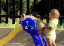 「よいしょ、重っ!!」 愛犬をすべり台で遊ばせてあげたい赤ちゃんが可愛い。