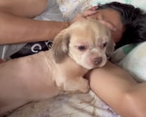 犬「彼に近づかないで！」 飼い主を独り占めしたくてとった行動が可愛い♪