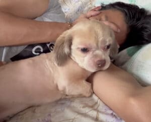 犬「彼に近づかないで!」 飼い主を独り占めしたくてとった行動が可愛い♪