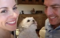 犬「キスしたいの？いいよ♪」飼い主の愛に割り込むワンコが可愛い。