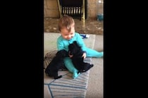 子犬にペロペロされて喜ぶ赤ちゃん♡ とっても楽しそうな笑い声！