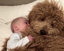 もっふもふ♡ まるで大きなぬいぐるみと添い寝しているみたい！