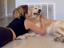 犬「ボクを無視できるかな？」在宅ワーク直後、強力すぎるハグの誘惑