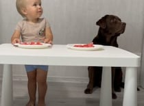 男の子と愛犬に、「おやつはまだ食べちゃダメ」と伝えたら…？