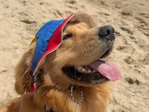 【潮風が心地いい】帽子をかぶって大好きな海へ！ ワクワクが止まらないゴールデン