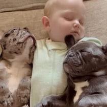 赤ちゃんと犬さんのお昼寝姿が、幸せな光景すぎた♡