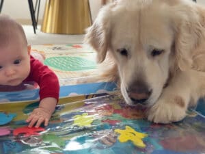 「お魚さんがいるー！」チャプチャプ揺れるマットに釘付けな赤ちゃんと犬さん