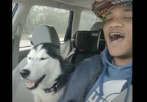 ハモりもばっちり♪ 飼い主に合わせて歌う犬