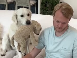 在宅ワークの飼い主さんのために、同僚役を頑張る犬さん