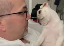ん〜？なんの音？ 飼い主の声に首をかしげる子犬さん