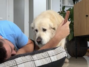 起きて！ 一緒に寝る？ 寝ている飼い主を見つけた大型犬の反応が可愛らしい♡