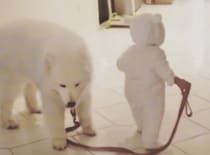 ほのぼのして可愛い！ 赤ちゃんのよちよち歩きに合わせる犬さん。